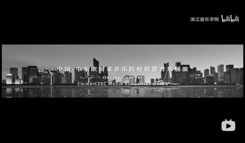 中国-中东欧国家音乐院校 ...